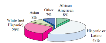 Solved Ethnic Diversit Y The Following Pie Chart Shows The