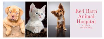 We treat dogs, cats and pocket pets. Red Barn Animal Hospital Home Facebook