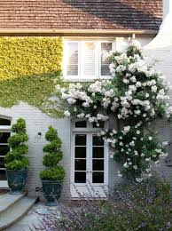 We did not find results for: Climbing Plants That Give Your Home A New Look