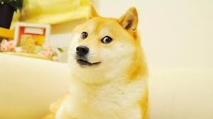 Bu sayfada 1 dogecoin (doge) fiyatı ne kadar, 1 dogecoin (doge) fiyatı kaç tl oldu? Binance Dogecoin Doge Icin Try Paritesi Ekliyor Coinkolik