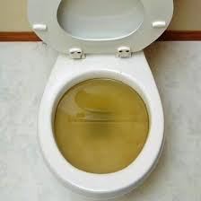 The Complete Illustrated Guide To Unclogging A Drain How To Unclog Toilet Clogged Toilet Unclog Drain