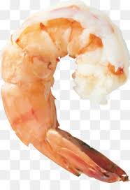 Prawn Png Prawn Cartoon Prawn Small Prawn Coloring Pages Prawns Of Lamellar Prawn Coloring Pages Prawn Logos Prawn Happy Prawn Dancing Prawn Standing Cleanpng Kisspng It is a very clean transparent background image and its resolution is 1002x341 , please mark the image source when quoting it.