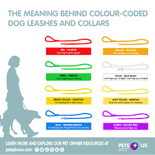 Truth is, some people don't know. The Meaning Behind Colour Coded Dog Leashes Collars Pets Plus Us