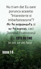 Va rataciti nestiind scripturile, nici puterea lui dumnezeu. 25 Familie Ideas Citate Biblice Versete Citate CreÈ™tine