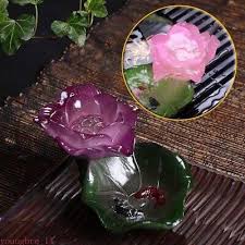 Image result for Lotus discolor