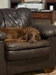 Places In Columbia MO-The good, the BAD and the Ugly