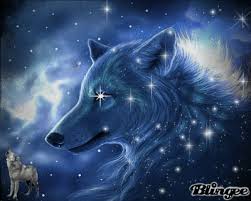 Feb 01, 2021 · fortunately for guys, there are several cool wolf tattoo ideas to pick from. Gallery For Cool Wolf Pictures Wolf Pictures Magical Wolf Wolf