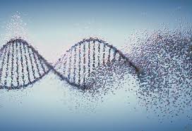 Diseases causing glomerulonephritis can also be classified according to whether. Genetic Disease 4 Types And List Of 39