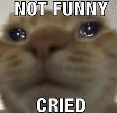 Not Funny Cried Not Funny Didn T Laugh Reactions Meme Cute Memes Funny Memes
