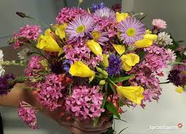 Zamów wysokiej jakości kwiaty przygotowane w dowolnym. Duzy Bukiet Piekne Kwiaty Ciete Kwiatki Krakow Sprzedajemy Pl