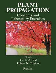Some cactus plants, like barrel types, produce smaller new. Plant Propagation Concepts And Laboratory Exercices Caula A Beyl Robert N Trigiano Crc Press 2008 1 By Agrihorti Issuu