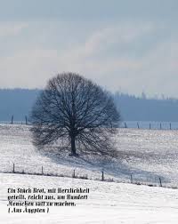 Kalender Spruche 8 News Von Burgerreportern Zum Thema