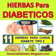 Plantas que curan y sanan la diabetes : Pin En Enfermedades Raras