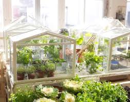 Doing a greenhouse project can be some much fun with a little for example, the small and mini plastic greenhouses for the indoor planting can be created from the. Ikea Mini Indoor Greenhouse Mini Greenhouse