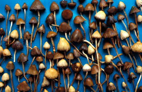 This is part of the between dimensions dlc. Magic Mushroom Drug Lifts Depression In First Human Trial Nature News Comment
