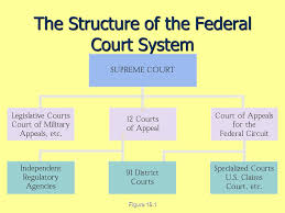 The Federal Courts Ppt Video Online Download