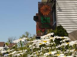 Urban Roots is a Growing Thing