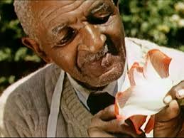 16 George Washington Carver Stock Videos, Footage, & 4K Video Clips