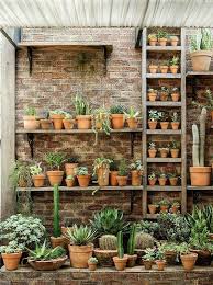 Cactos Plantados Em Forma Vertical Ou Horizontal Servindo Para Decoracao E Apr Beste Haarstyling Manner Feines Haar Gartenmauern Garten Gartenmauer