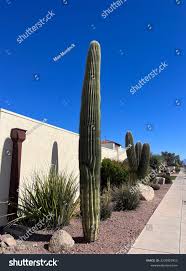 Portofolio Foto & Gambar Stok dari Mae Murdock