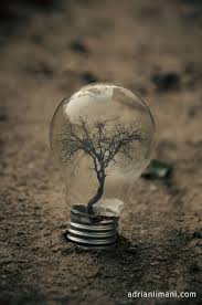 My Photo Project Life Inside A Light Bulb Bulb Tree Of Life Artwork Old Lights
