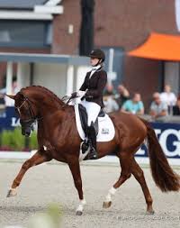 We did not find results for: Gelderlander Horse Breeding Kwpn Goes For Type Breeding Instead Of Line Breeding