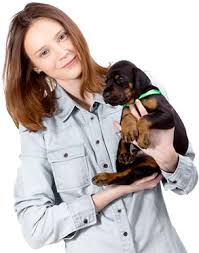 We did not find results for: Animal Tracker Microchip Registration Database For Pet Owners
