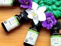 шампунь Acure Organics Shampoo Moroccan Argan Stem Cell Argan Oil Acure Organics Hydrating Shampoo Moroccan Argan Stem Cell Argan Oil Otzyvy Horoshij Shampun Iherb Arganovoe Maslo Kondicioner Dlya Volos I Shampun