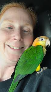 Introduction of New Parrot Baby Girl Harley