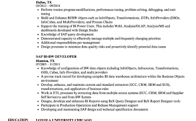 Start by looking at each engagement from a different perspective. Sap Bi Consultant Resume Samples Velvet Jobs Cute766