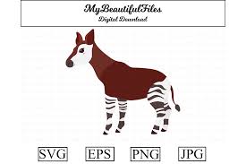The okapi comes from the congo—looking a little bit giraffe and a little bit zebra, the okapi is one fun and cute animal to color! Okapi Clipart Design Grafik Von Mybeautifulfiles Creative Fabrica