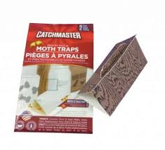 Black flag pantry pest trap for moths and other pests 2 glue traps. Control Pantry Moths Pesticide Free Pantry Moth Traps