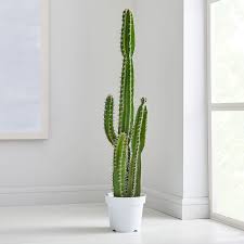 Though you may assume fake plants look plastic and cheap, some of our favorite brands (cb2! 22 Fake Plants For Anyone Who Can T Keep Real Ones Alive Self
