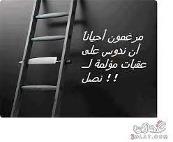 أقوال و حكم قيمة أمثال و عبر جميلة صور لأجمل كلام ladder decor horse pictures home decor