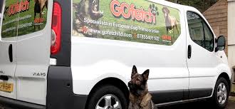 We will pick up your puppy from the breeder and transport them to the airport. Go Fetch Ltd Pet Transport Specialists News
