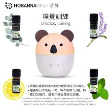 Image result for Olfactory Training