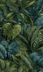 4.7 out of 5 stars 1,137. Botanical Jungle Leaves Wallpaper Utopia Green Anori 91111 Prime Walls Us