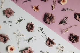 Check spelling or type a new query. How To Use The 7 Principles Of Art And Design In Photography