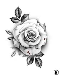 Pin By Stefan Klein On Tattoo Realistic Rose Tattoo White Rose Tattoos Rose Drawing Tattoo