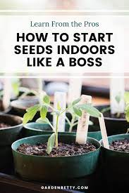 Get This Foolproof Beginners Guide For The Best Results When Starting Seeds Indoors Starting Seeds Indoors Seed Starting Growing Organic Vegetables
