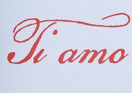 I Love You In Italian Ti Amo Amore L Amore E