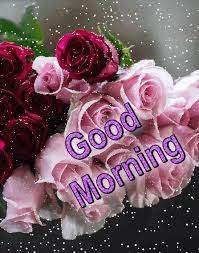 Let the sunshine so bright and remove all the worries from your life. Good Morning Love Gif Images Download Hutomo