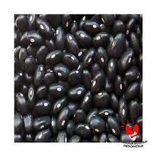 Jual Fitjoy Black Turtle Bean Kacang Kedelai Hitam 300 G Online Desember 2020 Blibli