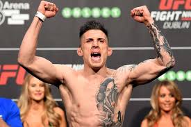 'stormin' norman parke is quietly becoming one of the best british fighters on the ufc roster. Norman Parke Ready To Silence Lightweight Champion Mateusz Gamrot At Record Breaking Ksw 39 Event Belfast Live