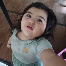 What companies can replace drywall