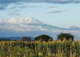 All the action and results right here. Mount Kilimanjaro Travel Guide Discover The Best Time To Go Places To Visit And Things To Do In Mount Kilimanjaro Tanzania Insight Guides