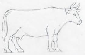 How To Draw A Cow Easy Way Easy Drawings Sketches Drawings Drawings For Boyfriend