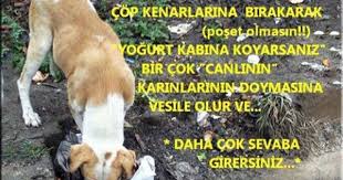 Bir Milletin Buyuklugu Ve Ahlaki Gelisimi Hayvanlarina Nasil Davrandigiyla Anlasilabilir Hayvan Evcil Hayvanlar Guzel Soz