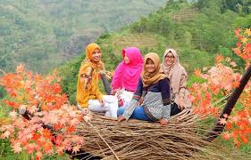 Selain dua warna tersebut, yang membuat air terjun ini lebih unik lagu adalah adanya 'kedung' atau kolam alami dengan. 45 Tempat Wisata Di Jogja Terbaru Dan Paling Hits Dikunjungi Tahun 2020