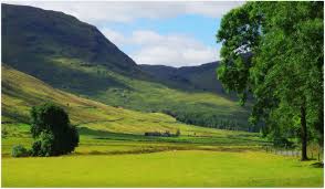 Image result for hinh doi nui co xanh